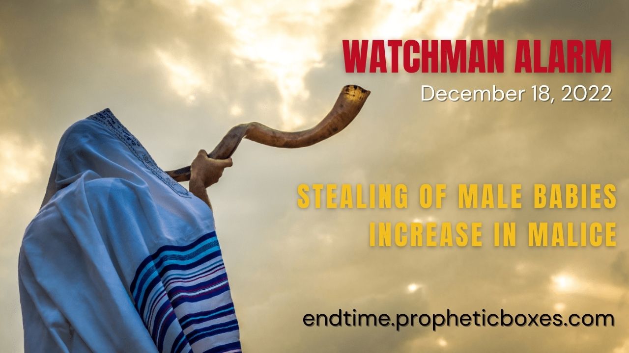 Watchman Alarm: Stealing of male babies and rise of pure malice